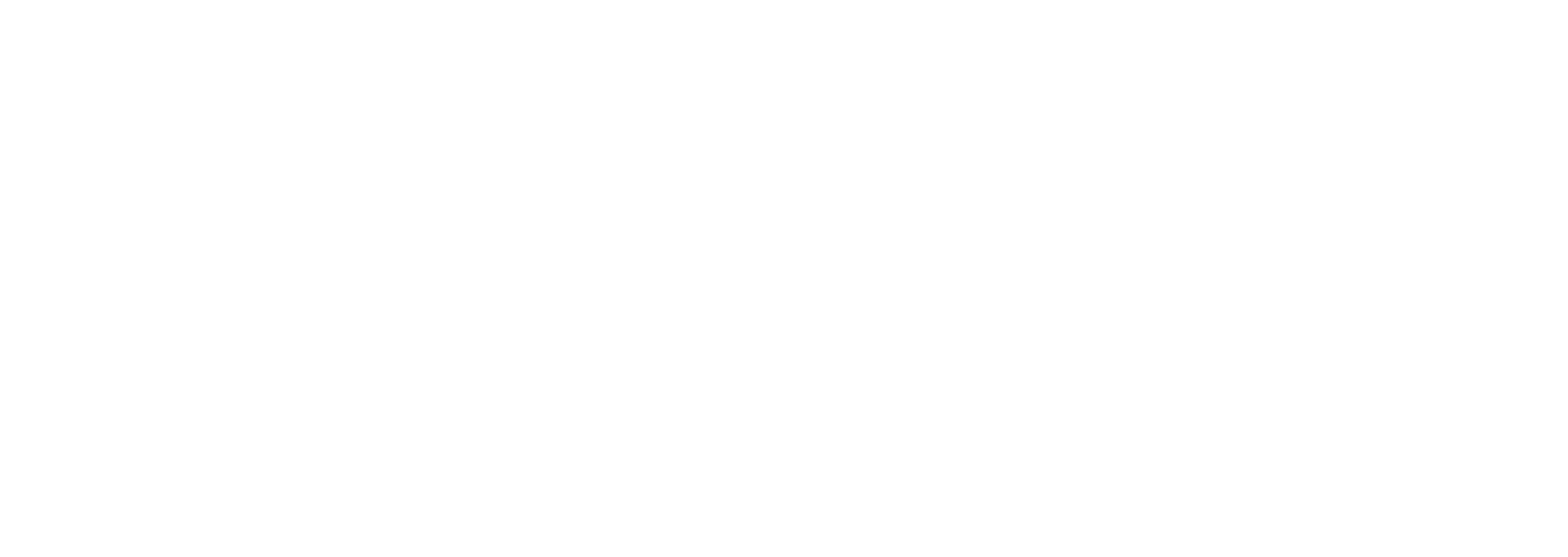 salto-digital.com