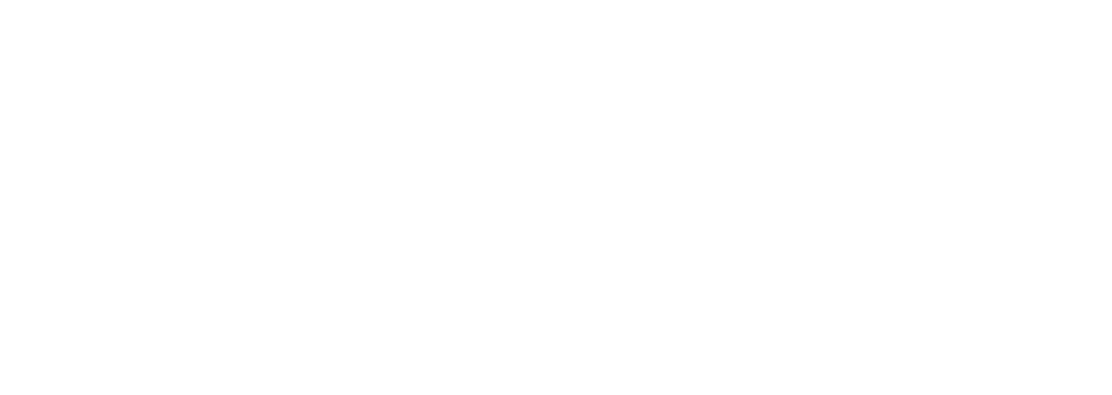 salto-digital.com